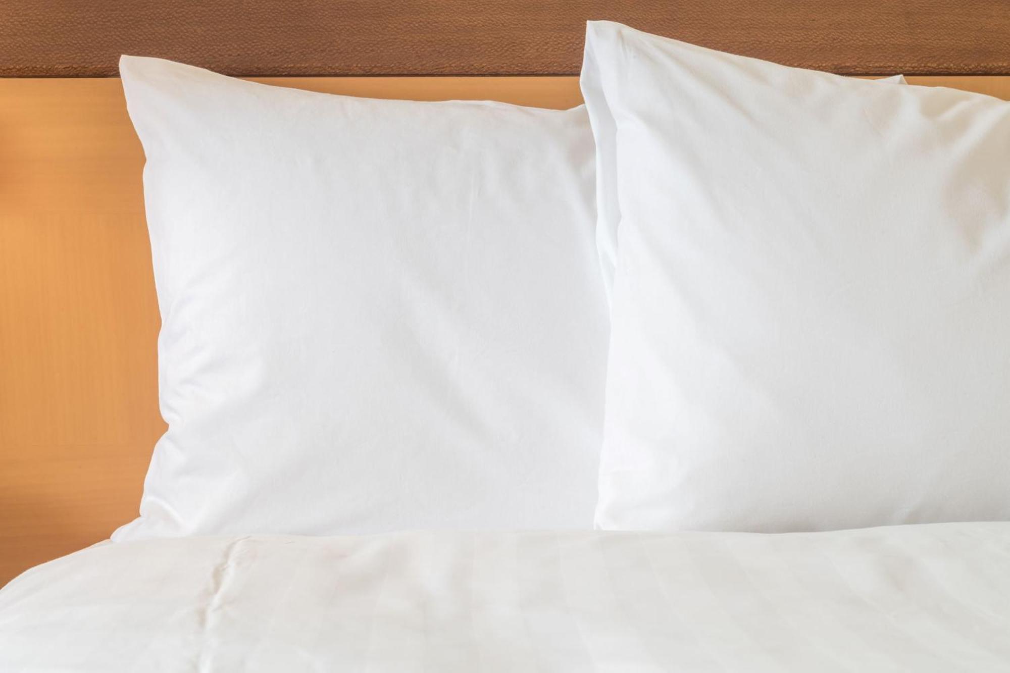 Holiday Inn Express St. Louis Central West End By Ihg Eksteriør bilde